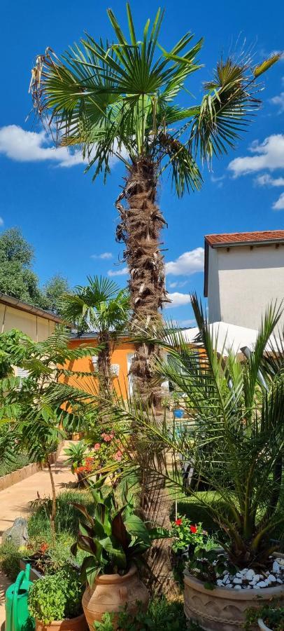 Grahl'S Ferienwohnung Markranstädt Kültér fotó